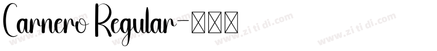 Carnero Regular字体转换